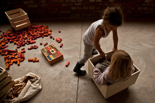 A Poem from the Polish Forest: A 100-Piece Rainbow Touch-Sensitive Building Block Set